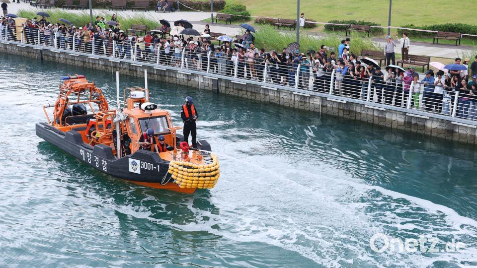 Trotz mehrerer Versuche ist der Hai bislang nicht wieder zurück ins offene Meer zurückgeschwommen. Bild: -/YNA/dpa