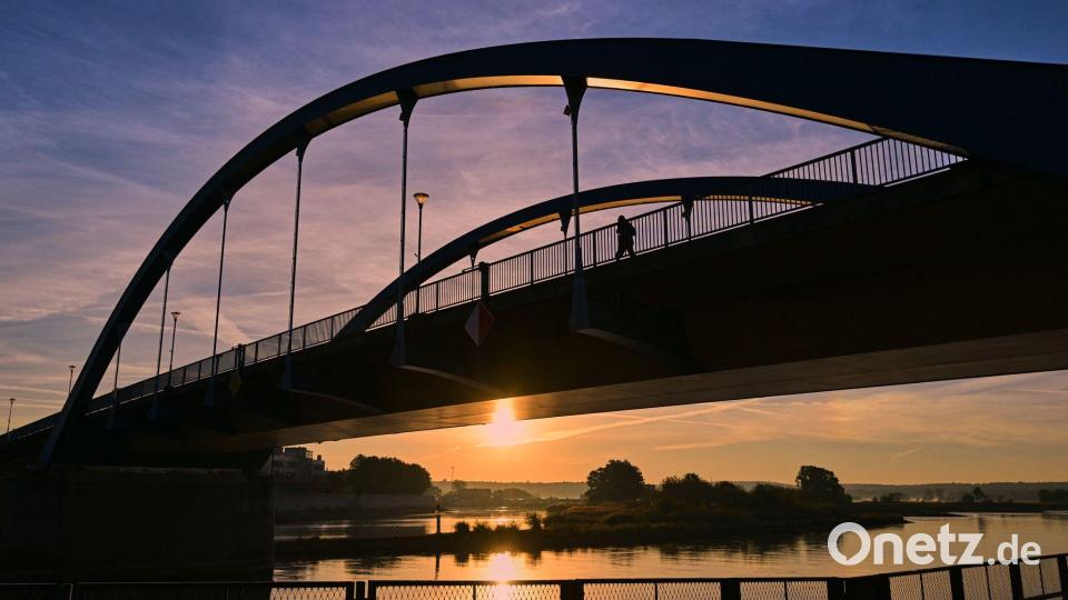 Sonnenaufgang am Fluss Oder Bild: Patrick Pleul/dpa