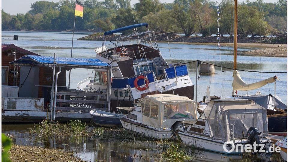 Zu wenig Wasser: Bei Oestrich-Winkel im hessischen Rheingau liegen Sportboote auf dem Grund des Rheins. Bild: Thomas Frey/dpa