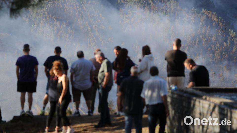 Waldbrände haben riesige Auswirkungen auf Mensch und Umwelt. (Archivbild) Bild: Carlos Castro/EUROPA PRESS/dpa