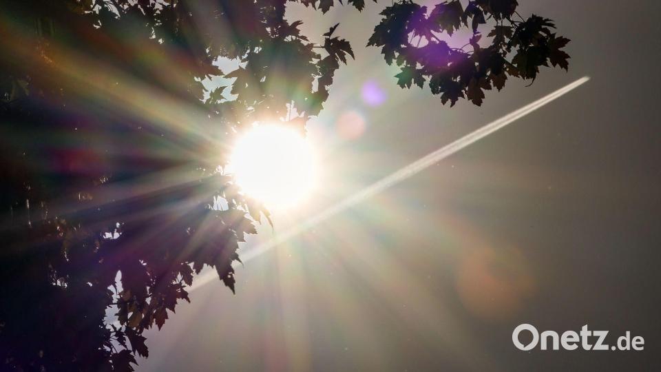 Die Sonne schaut hinter einer Baumkrone hervor. (Archivbild) Bild: Christoph Reichwein/dpa