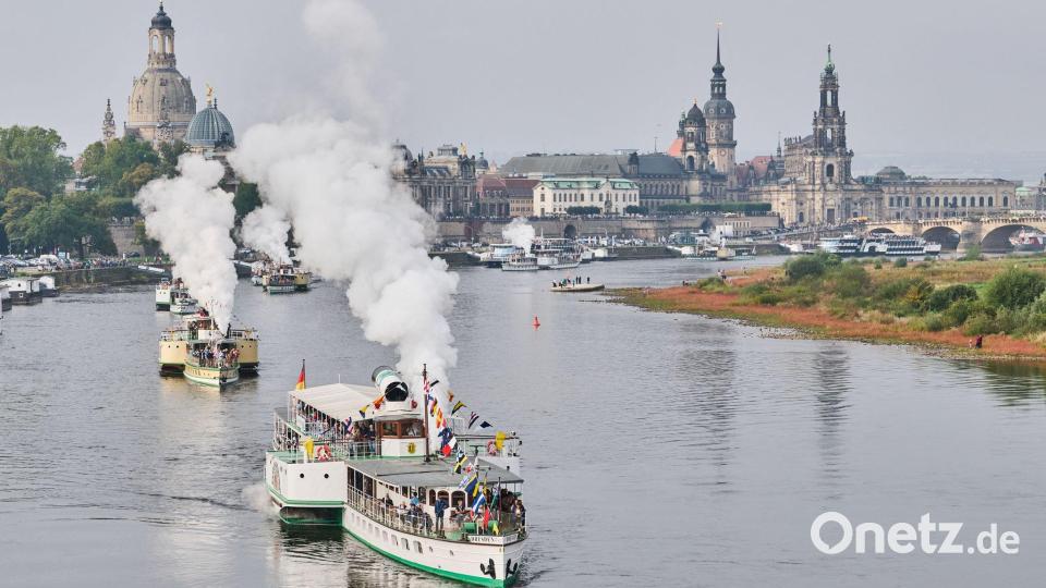 Dresdner Weiße Flotte startet Parade zum 190. Jubiläum Bild: Robert Michael/dpa