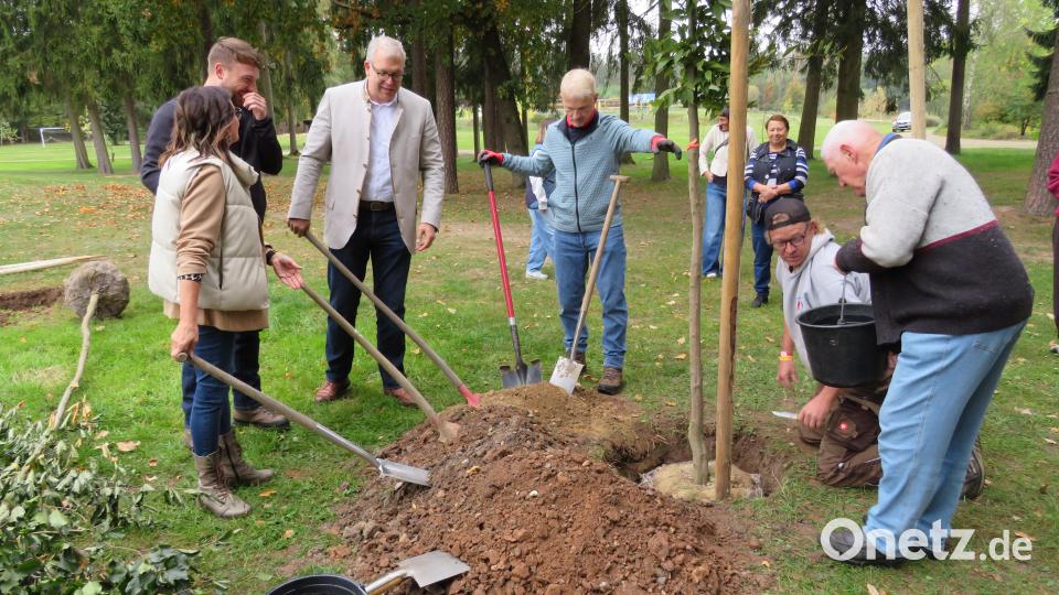 Fünf neue Schattenspender gibt es nach dem Einheitbuddeln im Schätzlerbad. Bild: Johann Adam