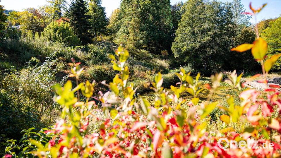 Im Süden Deutschlands werden Höchstwerte um die 23 Grad erwartet. Bild: Laszlo Pinter/dpa