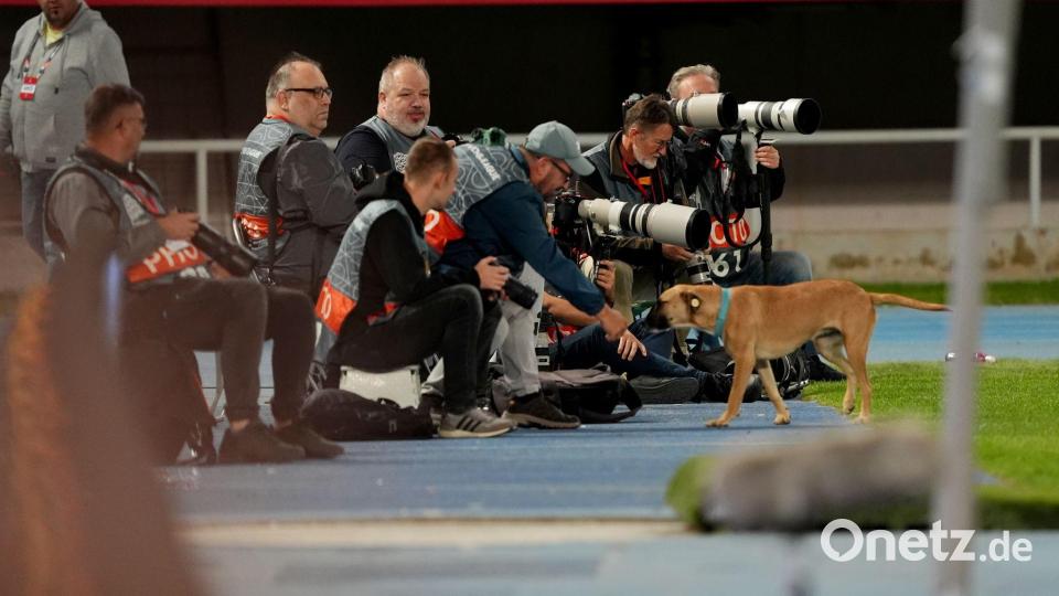 Ein Hund sorgt für aufheiternde Szenen in der Nations League. Bild: Andrew Milligan/PA Wire/dpa