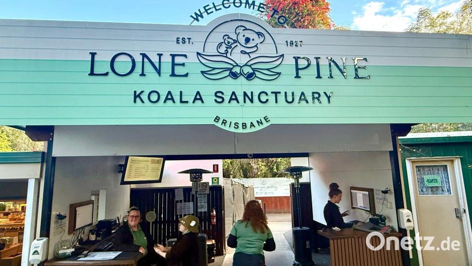 Das Lone Pine Koala Sanctuary lockt Besucher aus aller Welt. Bild: Carola Frentzen/dpa