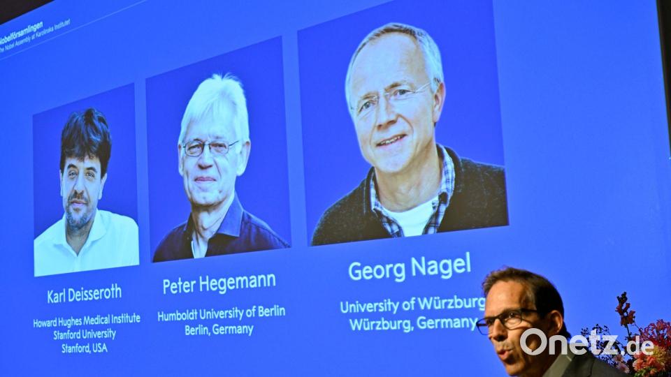 Stockholm: Nobelpreis 2026 für Medizin geht an Deisseroth, Hegemann und Nagel Bild: Pontus Lundahl/TT News Agency/AP/dpa
