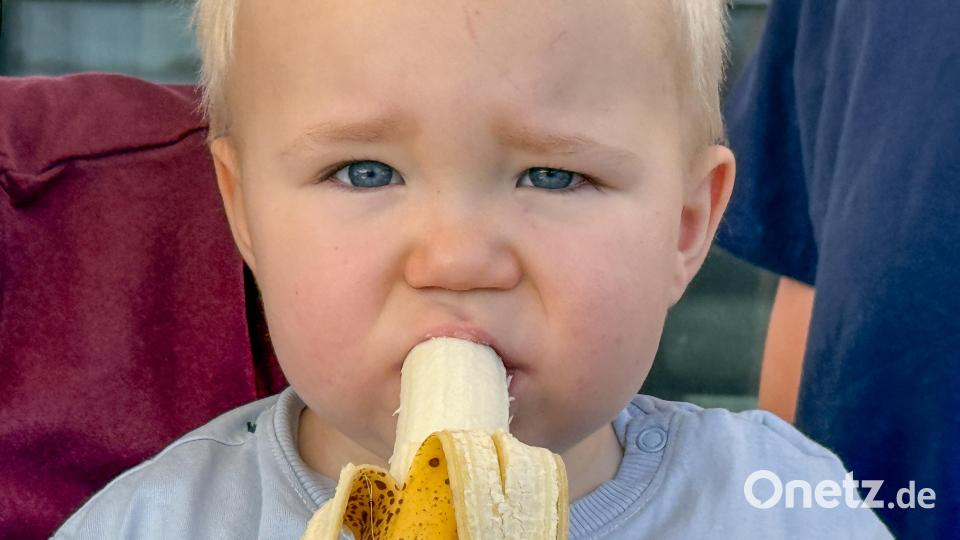 Tim hat wegen seiner akuten lymphatischen Leukämie bereits mehr als 30 einzelne Chemotherapien hinter sich. Bild: Petra Hartl