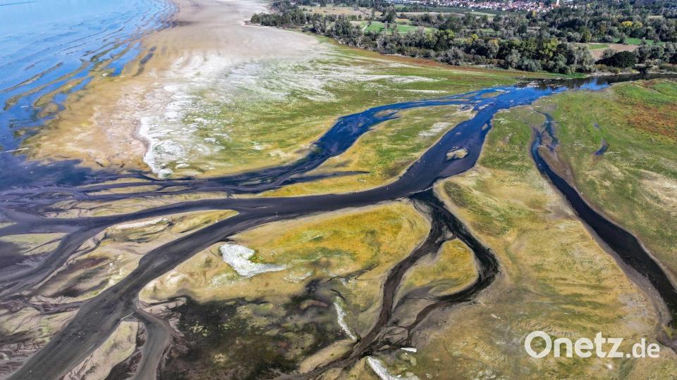Die Nationale Trockenheitsplattform der Schweiz meldet Trockenheit Stufe 4 (Große Gefahr) für Teile des Bodenseeeinzugsgebietes. Bild: Felix Kästle/dpa
