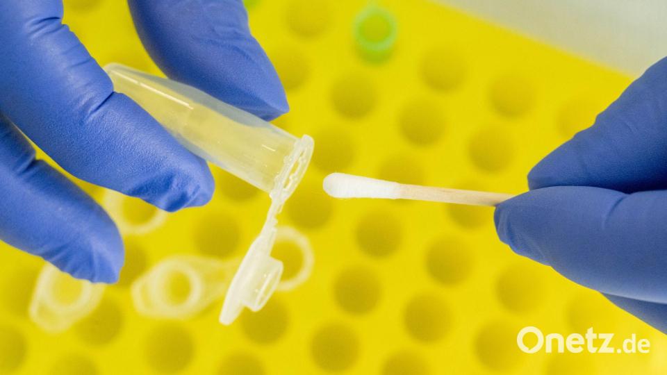 Spezialisten konnten DNA-Spuren an mehr als 50 Jahre alten Asservaten sichern. (Symbolbild) Bild: Stefan Sauer/dpa