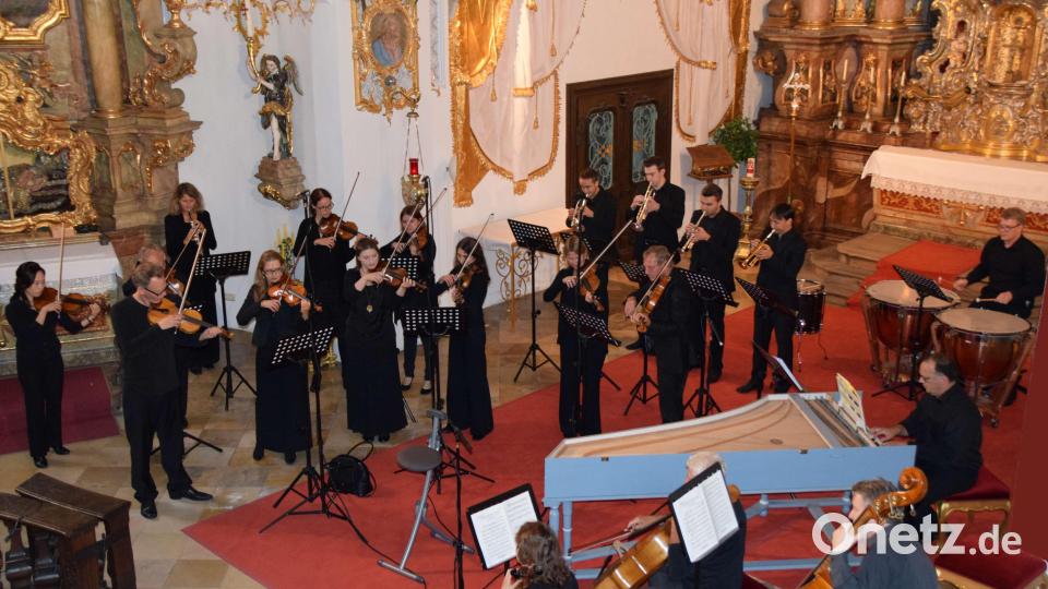 Die Sinfonietta Amberg spielt nach sieben Jahren wieder gemeinsam. Bild: Katharina Müllers