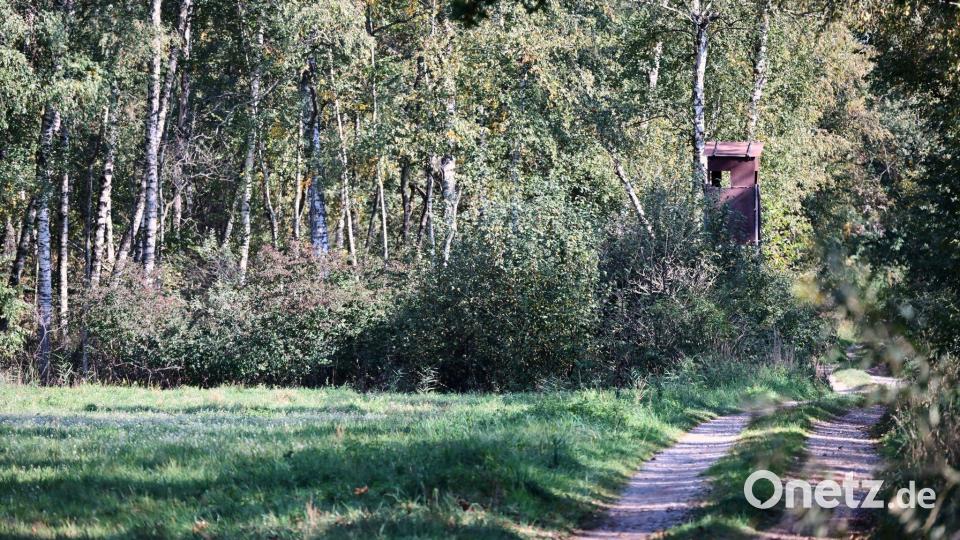 Ein Jäger hatte das fragliche Tier im Notzinger Moos durch eine Wärmebildkamera beobachtet. (Archivbild) Bild: Peter Kneffel/dpa