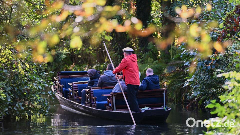 Herbstliche Ruhe kehrt im Spreewald ein Bild: Patrick Pleul/dpa