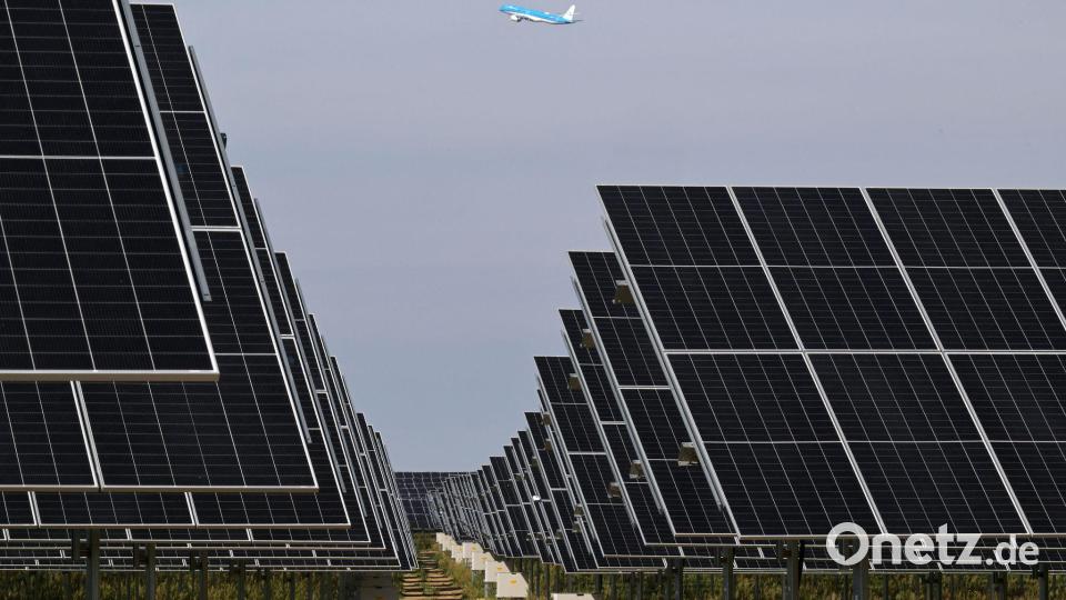 Freiflächen-Photovoltaikanlagen gelten als die günstigste Art der Stromproduktion. (Archivbild) Bild: Michael Bahlo/dpa