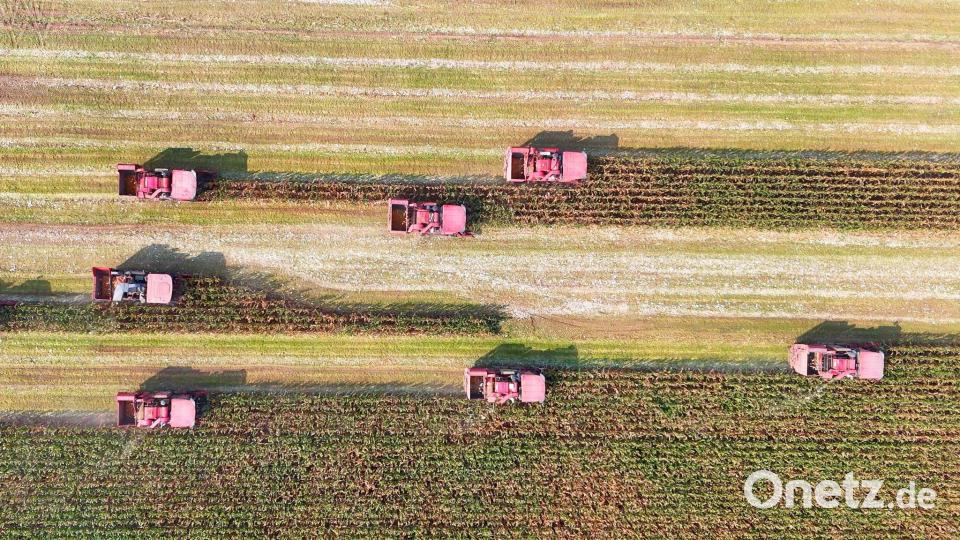Ein Drohnenfoto zeigt landwirtschaftliche Maschinen bei der Maisernte auf den Feldern in der Gemeinde Yangliuxue bei der Stadt Binzhou in der ostchinesischen Provinz Shandong. Bild: Chu Baorui/XinHua/dpa
