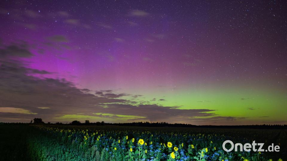 Polarlichter leuchten am Nachthimmel über der Landschaft im östlichen Brandenburg. Bild: Patrick Pleul/dpa