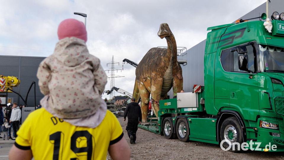 Die Dinosaurier-Dame „eLise“, ein lebensgroßer Camarasaurus aus Stahl und Beton, wird von ihrem bisherigen Standort bei den Saurierfährten Barkhausen in Bad Essen nach Damme transportiert. Bild: David Ebener/dpa