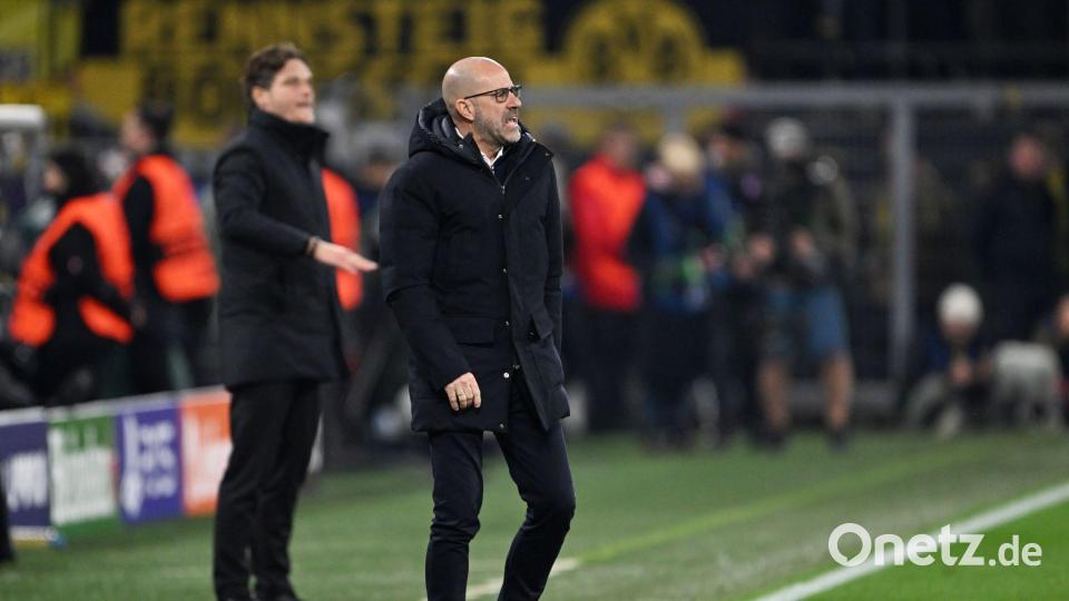 Peter Bosz vom PSV Eindhoven kennt sich in der Bundesliga bestens aus. (Archivbild) Bild: Federico Gambarini/dpa