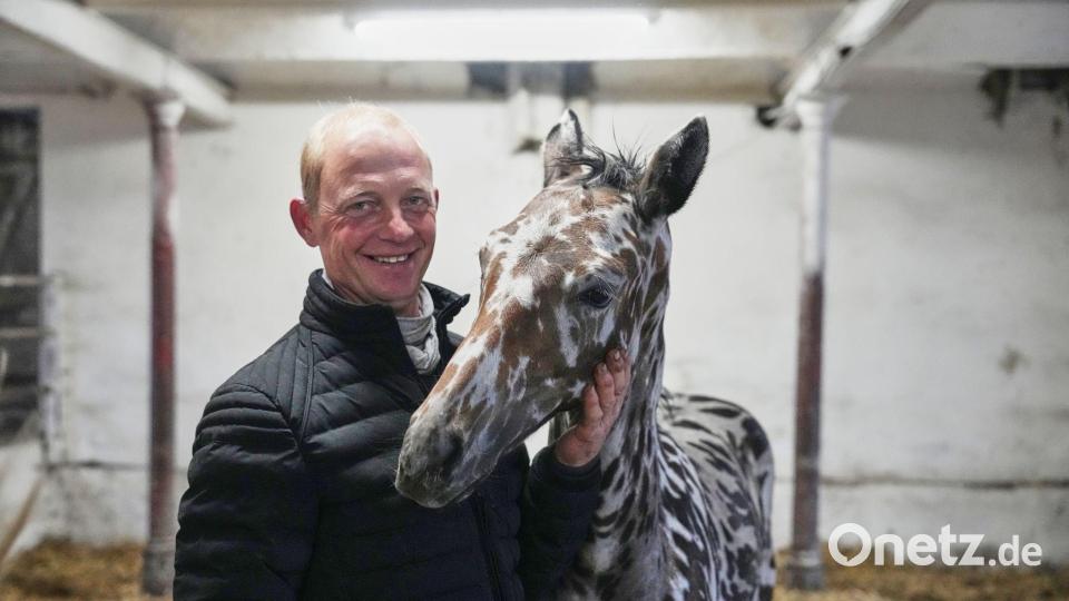 Ein Mann und sein Zebra? Nein: Es ist ein Pferd. Bild: Sven Kaeuler/dpa