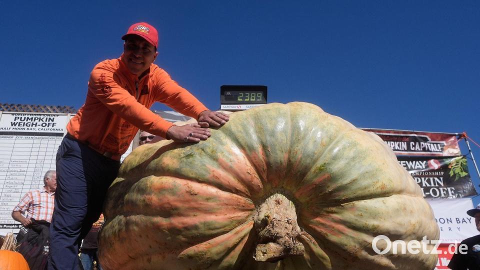 Riesenkürbis-Show in den USA: Travis Gienger aus Anoka feiert Platz eins bei der Pumpkin Weigh-Off Bild: Jeff Chiu/AP/dpa