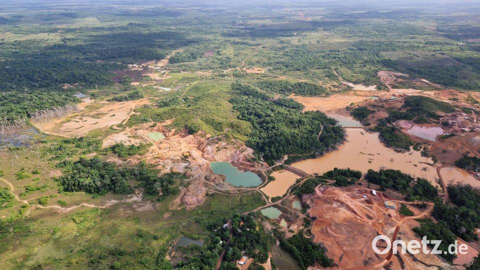 Für den Abbau von Gold – sowohl legal als auch illegal – wurden riesige Flächen im Amazonas-Regenwald abgeholzt. Bild: Larissa Schwedes/dpa