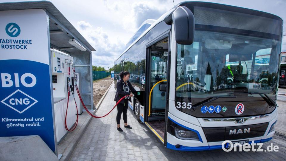 Der Bund will den Ankauf von E-Bussen für den Nahverkehr mit deutlich weniger Mitteln fördern. (Archivbild) Bild: Jens Büttner/dpa