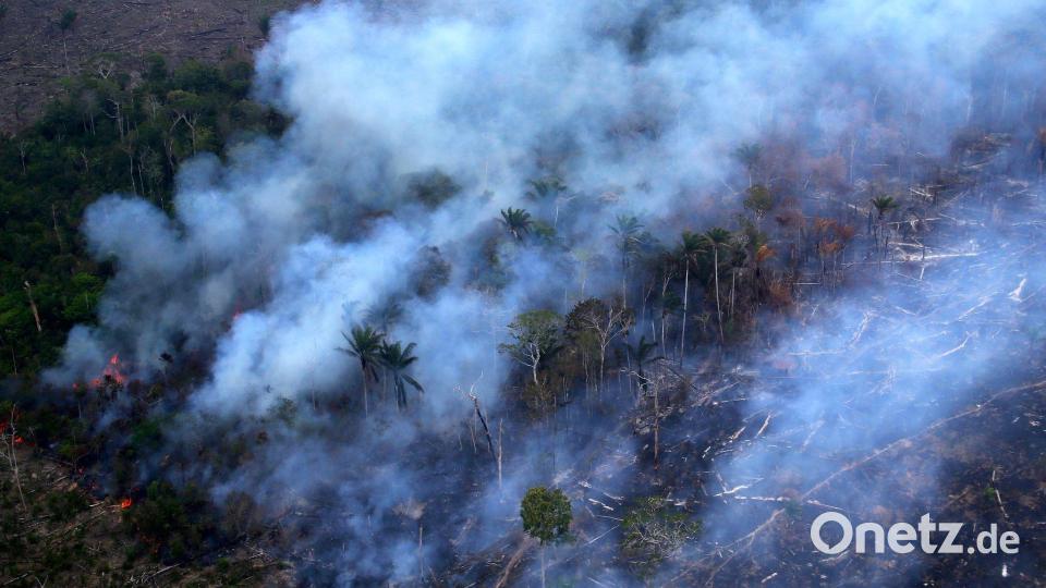 Ein Waldbrand in einem Gebiet des Amazonas-Regenwaldes in Autazes im brasilianischen Bundesstaat Amazonas. Bild: Edmar Barros/AP/dpa