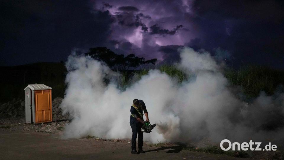 Ein Gesundheitsmitarbeiter führt eine Begasung auf einem Markt in Panama-Stadt durch, um Mücken zu bekämpfen und die Ausbreitung von Malaria zu verhindern. Bild: Matias Delacroix/AP/dpa