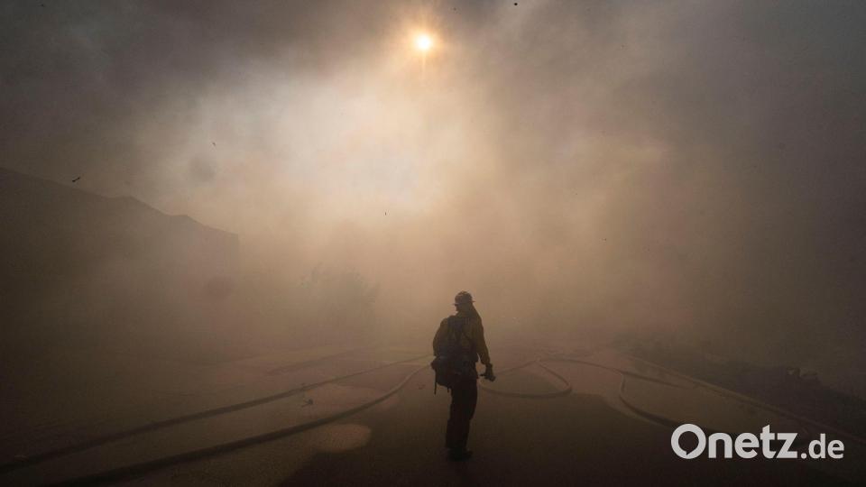 Mehr als 500 Feuerwehrleute kämpfen gegen die Flammen an. Bild: Paul Bersebach/The Orange County Register/AP/dpa