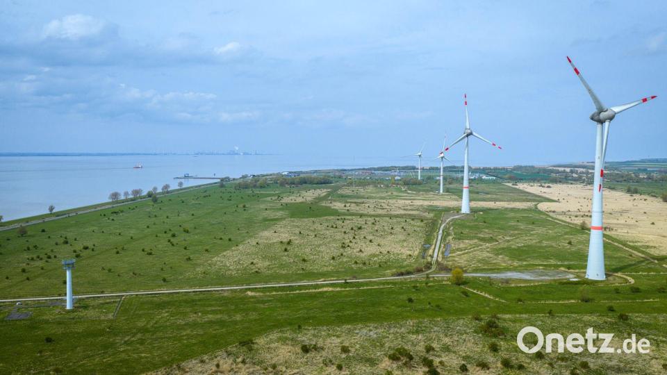 Noch ist vom geplanten, neuen Marinestützpunkt am Rysumer Nacken in Emden nichts zu sehen. (Archivbild) Bild: Sina Schuldt/dpa