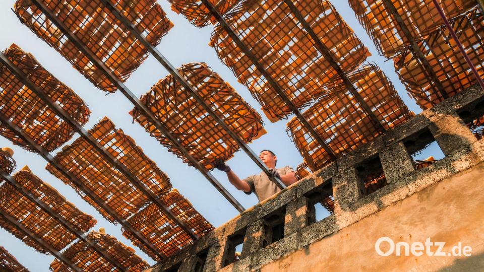 Südchina - Bauer trocknet Bambussprossenscheiben in der Sonne Bild: Huang Shuqing/XinHua/dpa