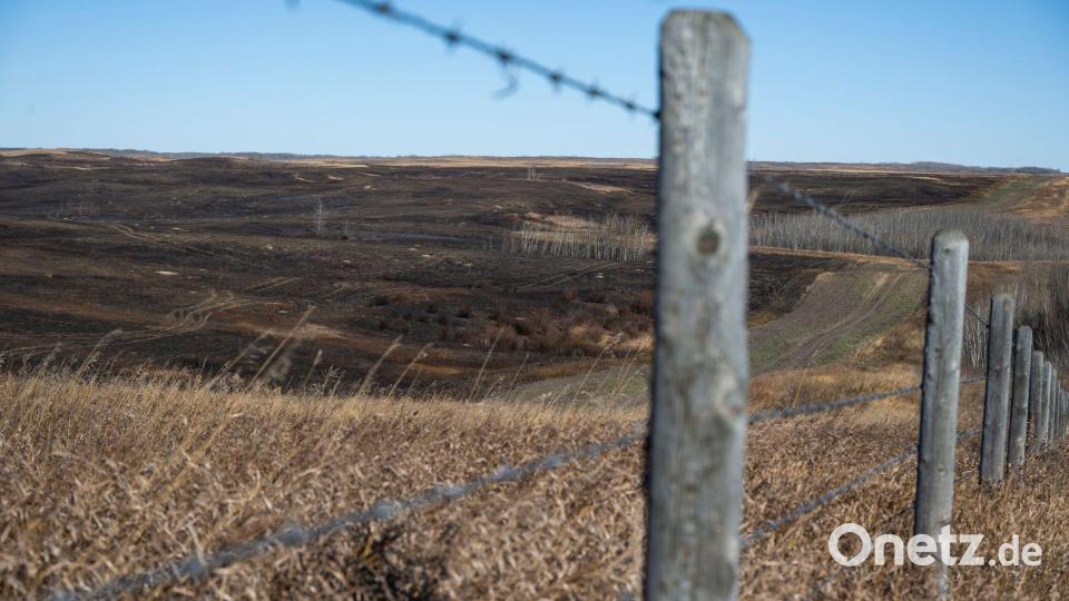 Starke Winde sollen ein Feuer auf dem Militärstützpunkt schnell vorangetrieben haben. Bild: John Ulan/The Canadian Press/AP/dpa