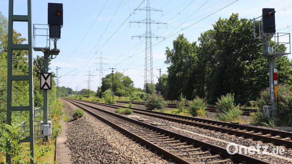 2023 hat die Bahn den Einsatz von Glyphosat eingestellt - und macht nun die Kehrtwende. (Archivbild) Bild: Sascha Thelen/dpa