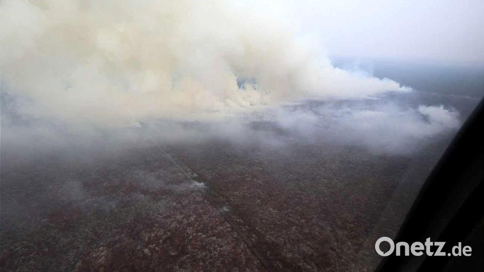 Die schweren Waldbrände bedrohen Menschen und Tiere gleichermaßen. Bild: -/National Disaster Management Agency (BNPB)/dpa