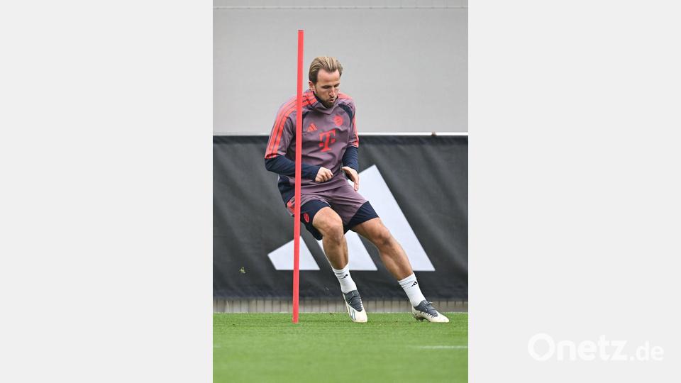 Starke Tor-Bilanz gegen Arsenal: Harry Kane. Bild: Angelika Warmuth/dpa