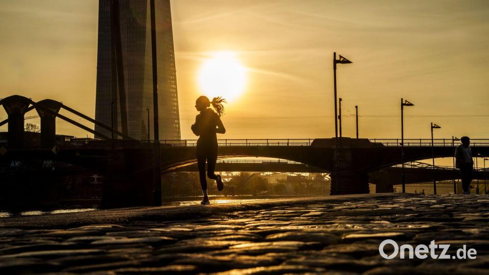 Viele Apps erwecken den Anschein von Zuverlässigkeit und Objektivität - doch das muss nicht zwangsläufig der Fall sein. Bild: Andreas Arnold/dpa