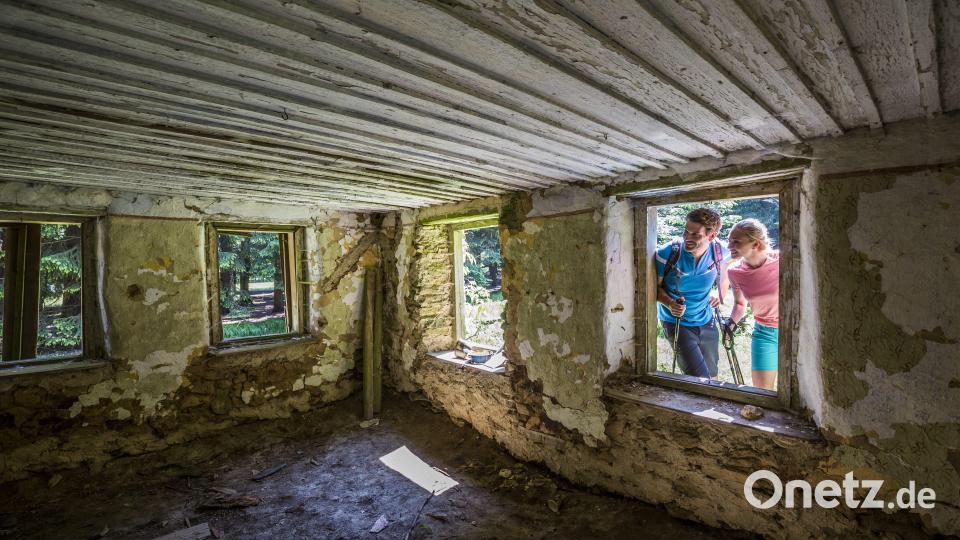 Hast du Lust, auch einmal auf Entdeckungsreise zu gehen? Bild: Oberpfälzer Wald, Thomas Kujat