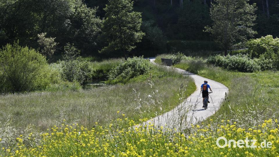 Der Radweg zwischen Windischeschenbach und Neustadt/WN wird bald fertig gestellt. Symbolbild: Petra Hartl