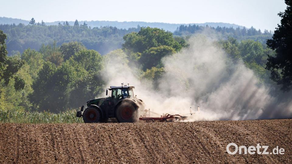 Die Zahl der Bauernhöfe in Bayern ist unter 100.000 gefallen - und dabei ist das schwierige Dürrejahr 2026 noch gar nicht berücksichtigt. (Archivbild) Bild: Daniel Karmann/dpa