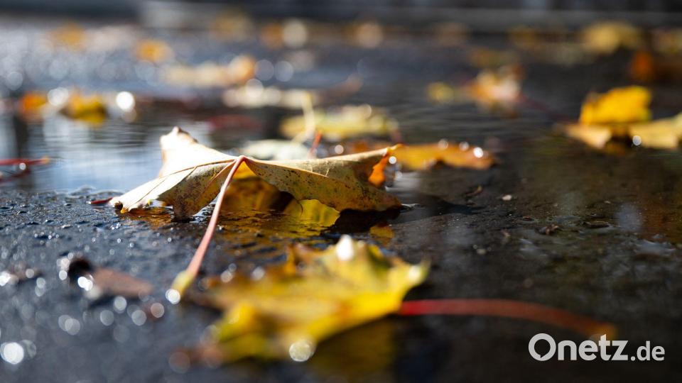 Herbstlich verfärbte Blätter liegen in einer Regenpfütze in Bad Nauheim. Bild: Florian Wiegand/dpa