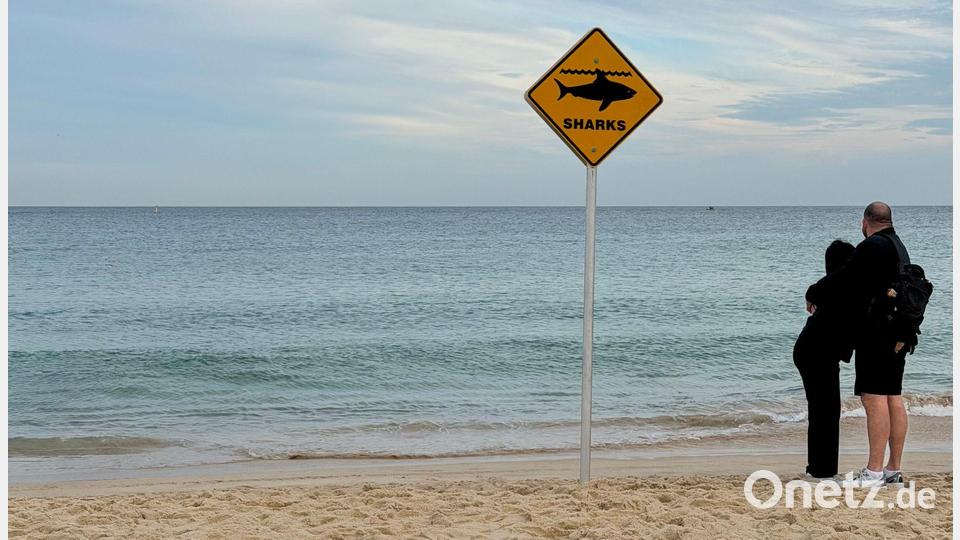 Haiangriffe in Australien nehmen Experten zufolge zu. Bild: Laura Csapó/dpa