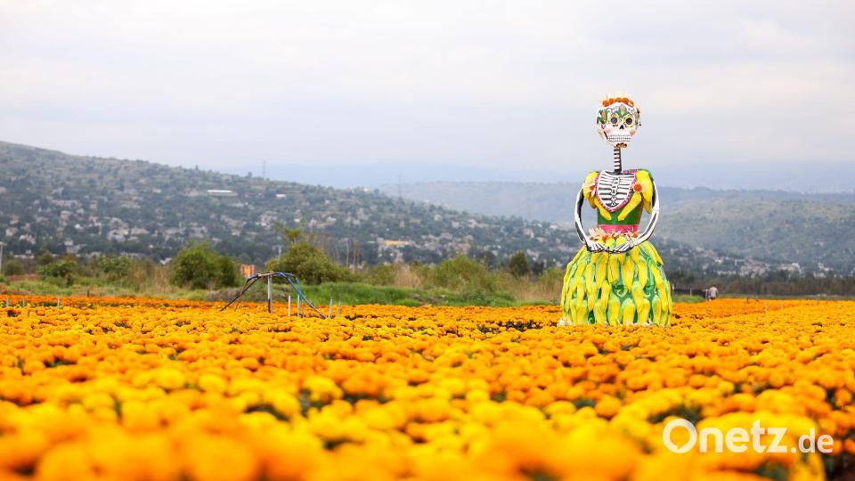 Eine riesige „Catrina“-Figur steht in einem Ringelblumenfeld. Bild: Francisco Canedo/XinHua/dpa