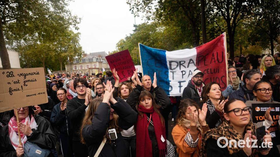 Laut Präfektur waren rund 13.000 Demonstrierende auf den Straßen von Orléans. Bild: Teresa Suarez/AP/dpa