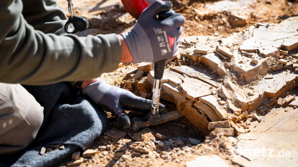 Die Experten suchen nach Fossilien im Plattenkalk. Bild: Daniel Vogl/dpa