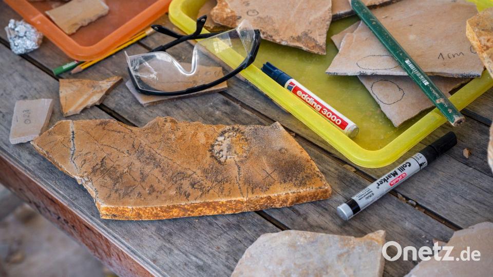 Diese Funde gab es jüngst im Steinbruch Wattendorf. Bild: Daniel Vogl/dpa