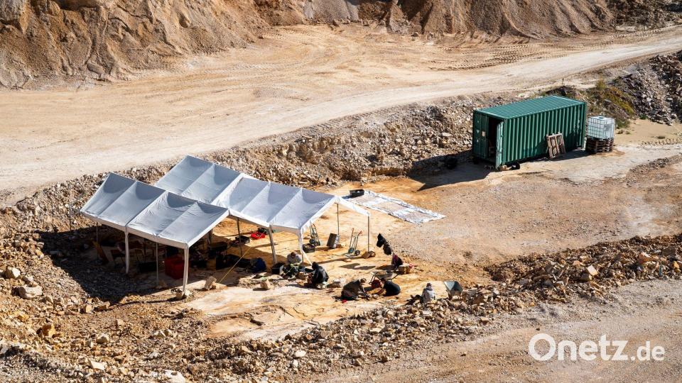 Im Steinbruch Wattendorf wird nach Fossilien gesucht. Bild: Daniel Vogl/dpa