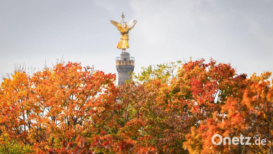 Herbstlich belaubte Bäume stehen im Licht der Sonne vor der Kulisse der Siegessäule im Berliner Tiergarten. Bild: Soeren Stache/dpa