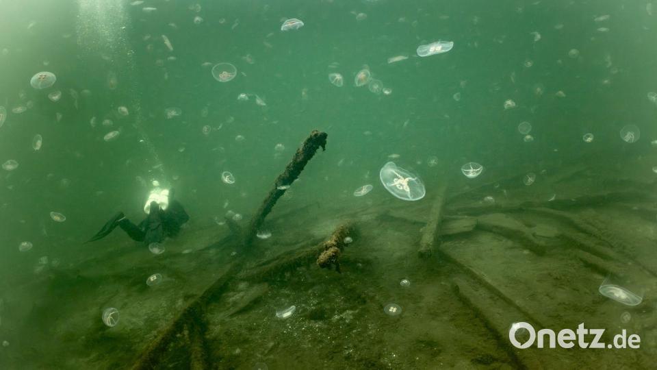 Wrack des 1495 gesunkenen Kriegsschiffs „Gribshunden“ in Südschweden. Bild: Florian Huber/submaris.com/dpa