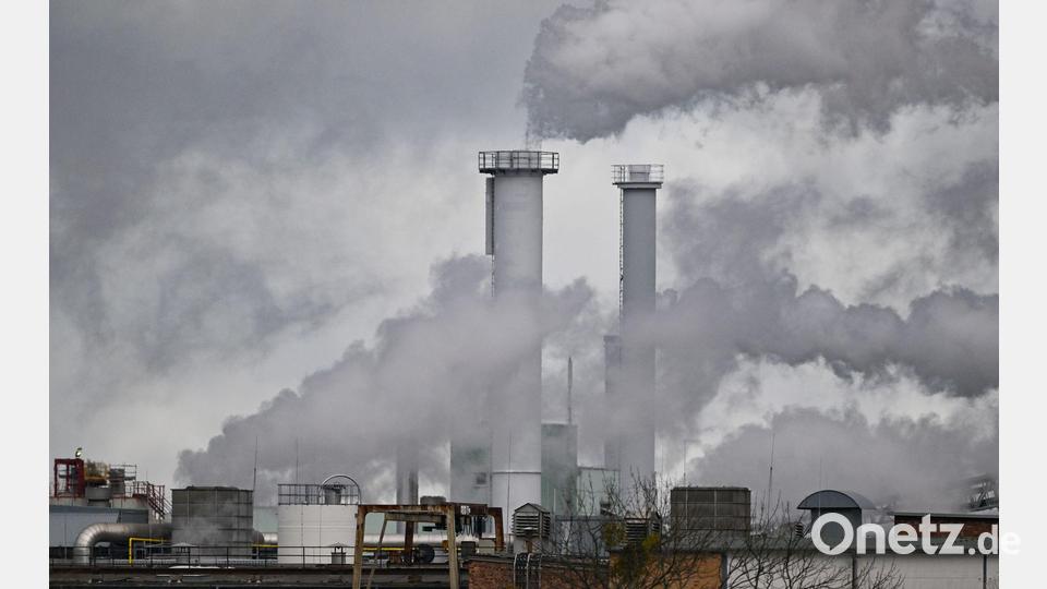 Rauch steigt aus den Schloten eines Papierwerks. (Archivbild) Bild: Patrick Pleul/dpa
