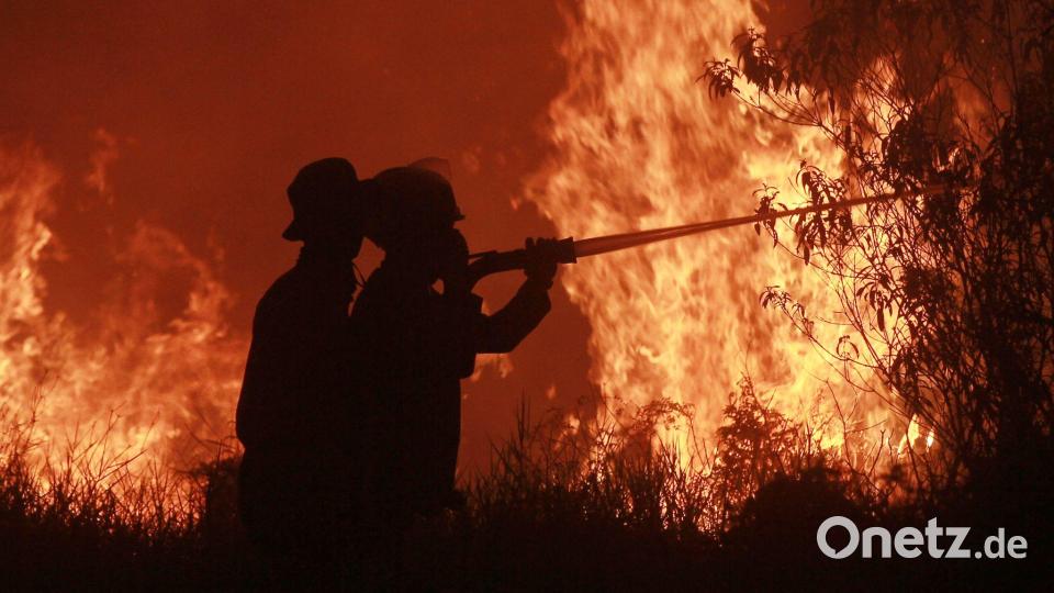 Die Feuer haben verheerende Schäden angerichtet. Bild: Muhammad Hatta/AP/dpa